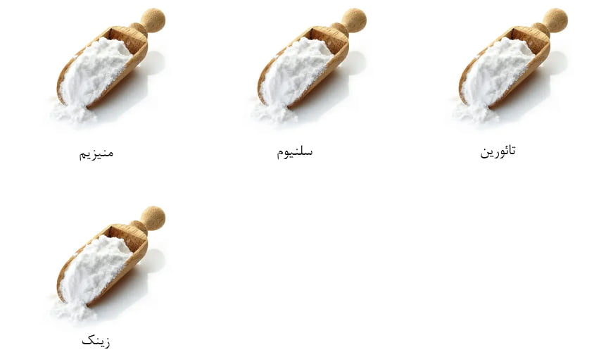 ZMST ای تی پی ساینس