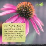 مگا ویتا سی اروین نچرالز 60 عدد Irwin Naturals Vita C - Image 7